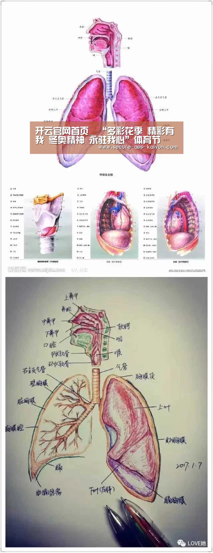 开云体育稳定访问