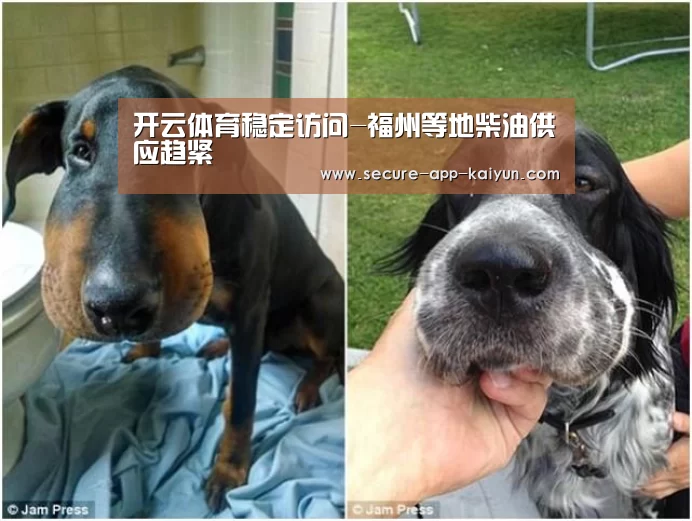 开云体育稳定访问-福州等地柴油供应趋紧