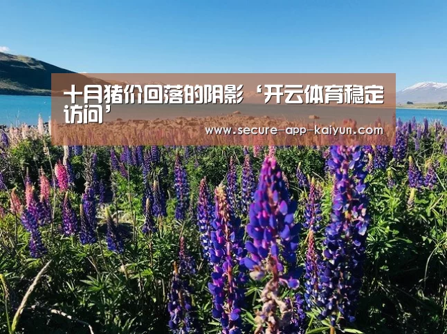 开云体育稳定访问