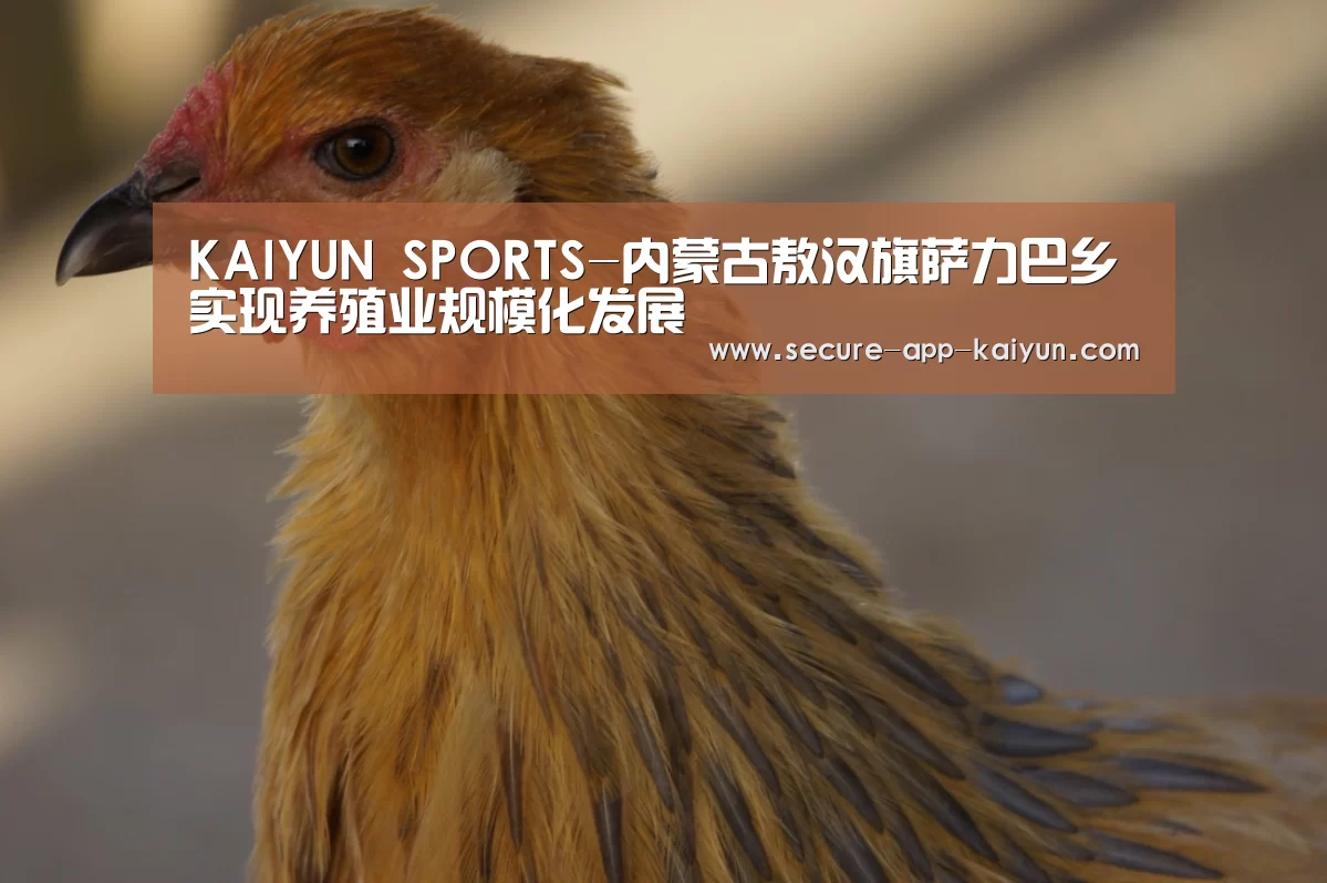 KAIYUN SPORTS-内蒙古敖汉旗萨力巴乡实现养殖业规模化发展(图4) KAIYUN SPORTS
